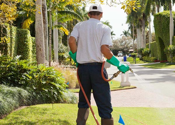 About Brookeland TX Pest Control